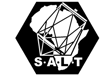 SALT logo